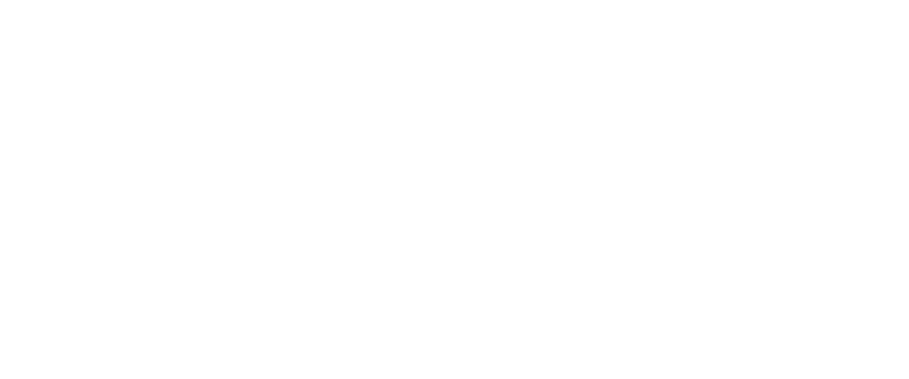Selo Google Partner