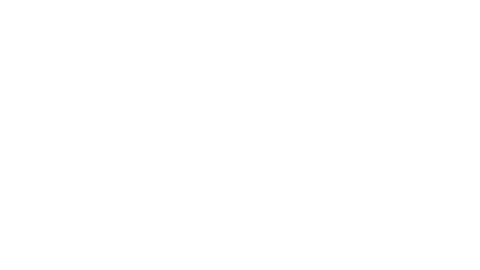 Logo Point S