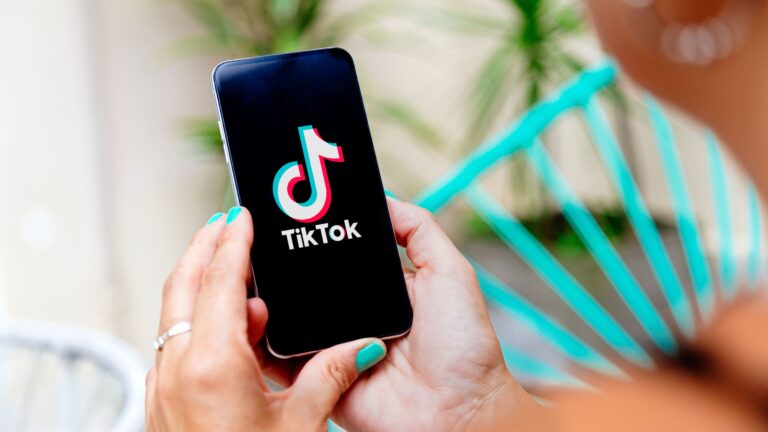 tiktok consumo b2b